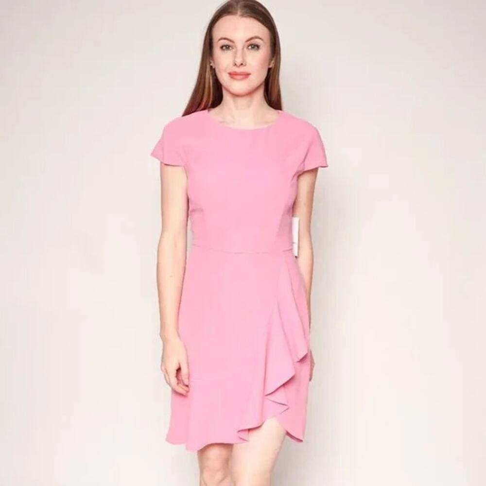 NWT AMANDA UPRICHARD Pink Whistler Ruffle Dress XS
